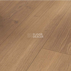 Ламинат Parador Trendtime 6 1744708 Дуб Studioline Мед фото 1 | FLOORDEALER