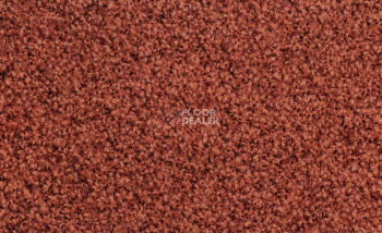 Ковролин Vorwerk Exclusive1009/Elara 1m16 фото 1 | FLOORDEALER