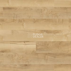 Линолеум Polyflor Camaro Wood 2231 фото 1 | FLOORDEALER