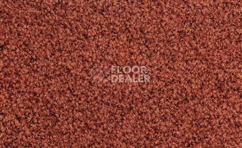 Vorwerk Exclusive1009/Elara 1m16 фото 1 | FLOORDEALER