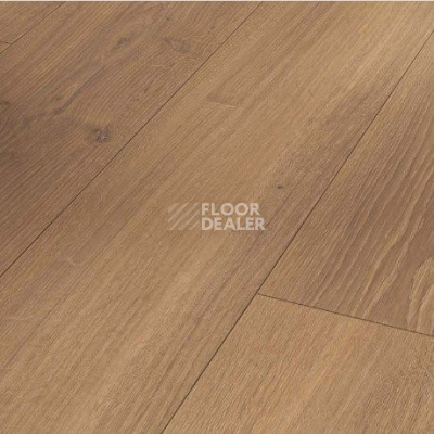 Ламинат Parador Trendtime 6 1744708 Дуб Studioline Мед фото 1 | FLOORDEALER