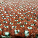 Ковролин Balta Traffic Traffic  | FLOORDEALER