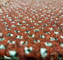 Ковролин Balta Traffic Traffic фото 1 | FLOORDEALER