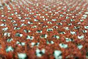 Ковролин Balta Traffic Traffic фото  | FLOORDEALER