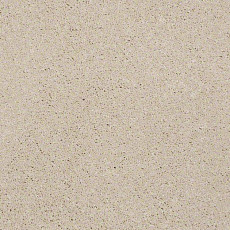 Shaw Design Texture Platinum 105 фото 1 | FLOORDEALER