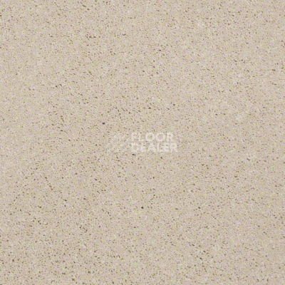Ковролин Shaw Design Texture Platinum 105 фото 1 | FLOORDEALER