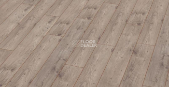 Ламинат My Floor Chalet 10мм m1002 Каштан Бежевый фото 1 | FLOORDEALER