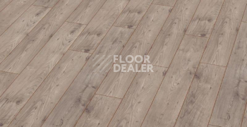 Ламинат My Floor Chalet 10мм m1002 Каштан Бежевый фото 1 | FLOORDEALER