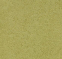 Линолеум Forbo Eternal Original 68792 aspargus фото 1 | FLOORDEALER