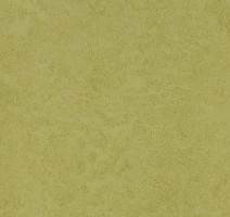 Линолеум Forbo Eternal Original 68792 aspargus фото 1 | FLOORDEALER