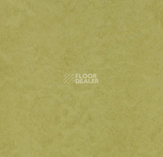 Линолеум Forbo Eternal Original 68792 aspargus фото 1 | FLOORDEALER