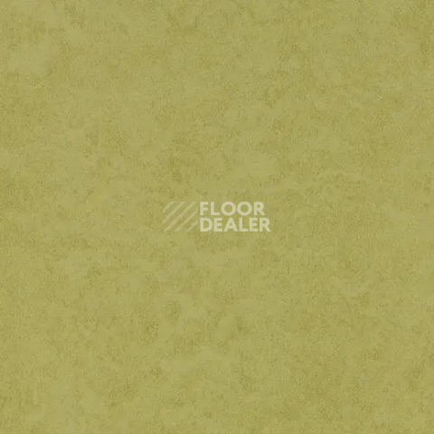 Линолеум Forbo Eternal Original 68792 aspargus фото 1 | FLOORDEALER