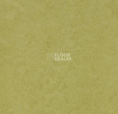 Линолеум Forbo Eternal Original 68792 aspargus фото 1 | FLOORDEALER