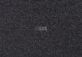 Ковролин Lano Lounge 081 Pourpre 1 фото 1 | FLOORDEALER