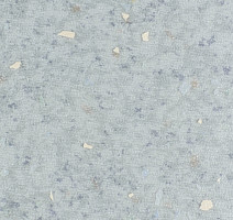 Forbo Emerald Spectra 5504 фото 1 | FLOORDEALER