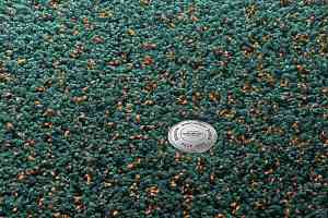 Ковролин Vorwerk Superior 1041 Vorwerk 4g66 фото  | FLOORDEALER