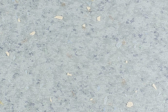 Forbo Emerald Spectra 5504 фото 1 | FLOORDEALER