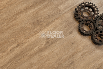 Alpine Floor Grand Sequoia Superior ABA 8мм Макадамия ECO 11-1003 фото 2 | FLOORDEALER