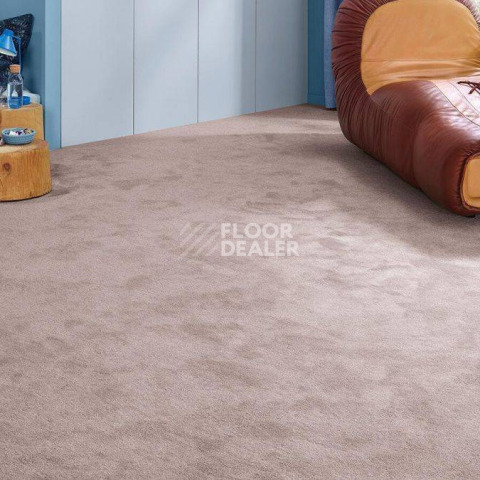 Vorwerk Essential 1076 Vorwerk 1n58 фото 2 | FLOORDEALER