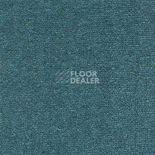 Ковролин AW Energy 72 фото 1 | FLOORDEALER