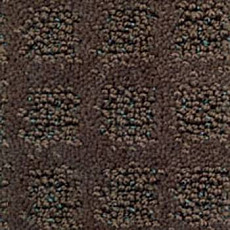 Ковролин Balta Cavalli 750 фото 1 | FLOORDEALER