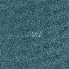 Ковролин AW Energy 72 фото 1 | FLOORDEALER