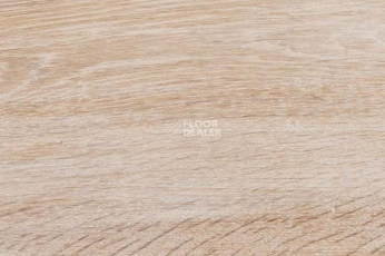 Пробковое покрытие Wood Xl Oak  Gekalte New фото 1 | FLOORDEALER