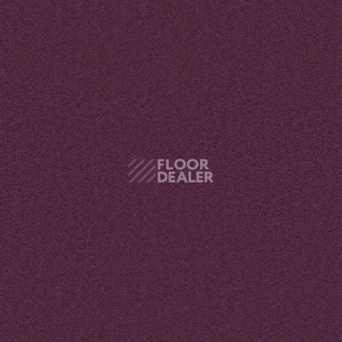 Ковролин Forbo Showtime Nuance 900227 фото 1 | FLOORDEALER