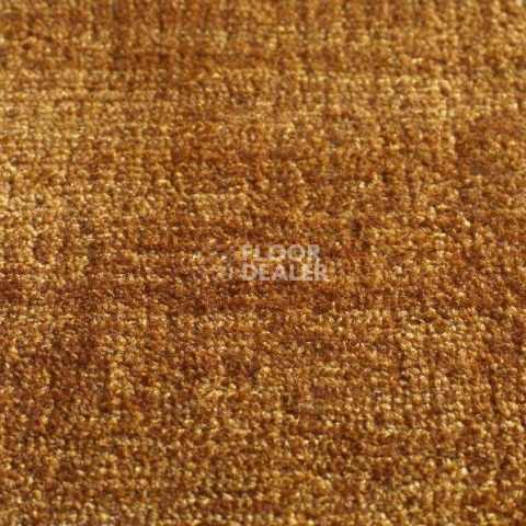 Ковролин Jacaranda Carpets Satara Gold фото 1 | FLOORDEALER