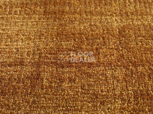 Ковролин Jacaranda Carpets Satara Gold фото 1 | FLOORDEALER