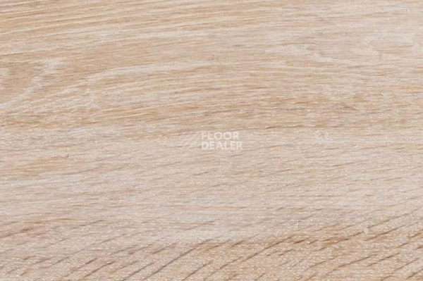 Пробковое покрытие Wood Xl Oak  Gekalte New фото 1 | FLOORDEALER