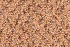 Ковролин Balsan Tango Tango 430 фото  | FLOORDEALER