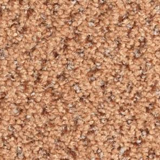 Ковролин Balsan Tango Tango 430 фото 1 | FLOORDEALER