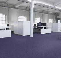 Tessera Basis 380 Blackcurrant фото 2 | FLOORDEALER