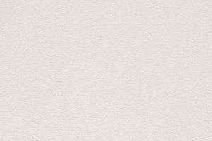 Ковролин Big Nobless 504 фото  | FLOORDEALER