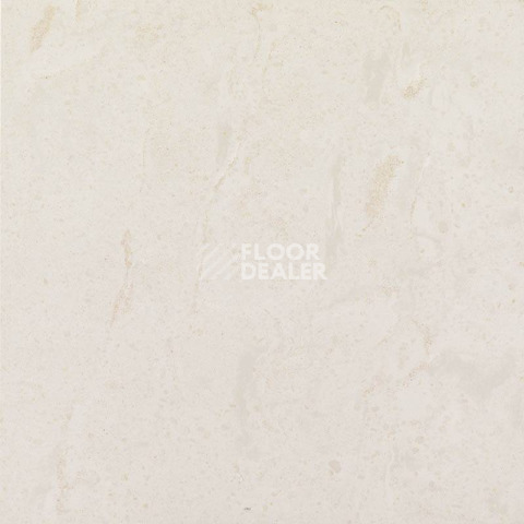 Керамогранит Estima Trend tr 01 фото 1 | FLOORDEALER
