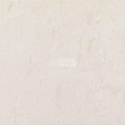 Керамогранит Estima Trend tr 01 фото 1 | FLOORDEALER