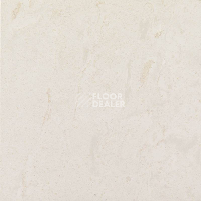 Керамогранит Estima Trend tr 01 фото 1 | FLOORDEALER