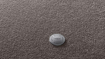 Ковролин Vorwerk Superior 1049 Vorwerk 5y22 фото 1 | FLOORDEALER