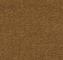 Ковролин AW Sauvage 54 фото 1 | FLOORDEALER