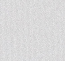 Ковролин Vorwerk Safira 6c51 фото 1 | FLOORDEALER