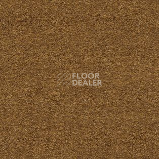 Ковролин AW Sauvage 54 фото 1 | FLOORDEALER