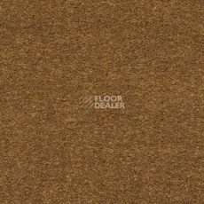 Ковролин AW Sauvage 54 фото 1 | FLOORDEALER