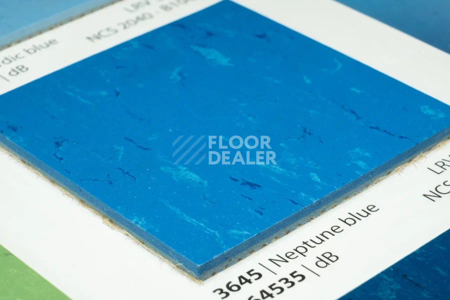 Линолеум Marmoleum Solid Piano 3645-364535 Neptune blue фото 2 | FLOORDEALER