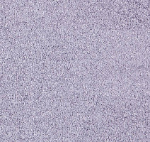 Ковролин ITC Caprice Caprice 89 фото 1 | FLOORDEALER