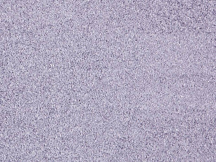 Ковролин ITC Caprice Caprice 89 фото 1 | FLOORDEALER