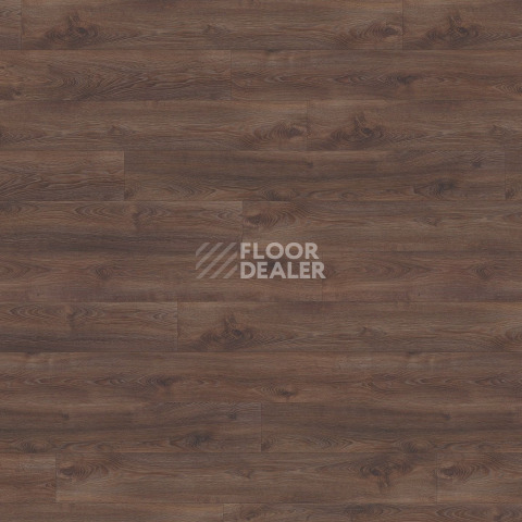 Ламинат Wineo 700 Wood XXL V4 8мм LA223XXLV4 Дуб финский тёмно-коричневый фото 1 | FLOORDEALER