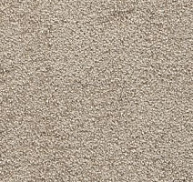 Ковролин AW Spirit 39 фото 1 | FLOORDEALER