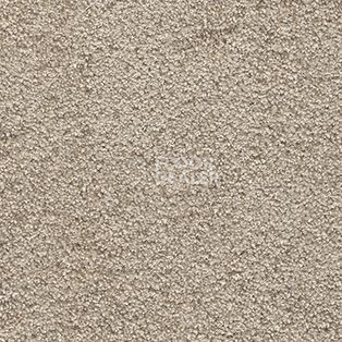 Ковролин AW Spirit 39 фото 1 | FLOORDEALER