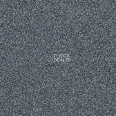 Ковровая плитка Interface Polichrome 7552 Dolphin фото 1 | FLOORDEALER